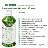 Olivox 2 x 1000 ml